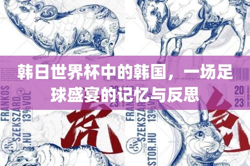 韩日世界杯中的韩国，一场足球盛宴的记忆与反思