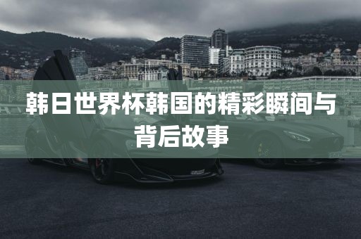 韩日世界杯韩国的精彩瞬间与背后故事吉安市靖泰电力工程有限公司