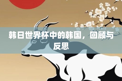 韩日世界杯中的韩国，回顾与反思