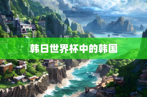 韩日世界杯中的韩国