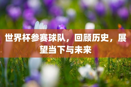 世界吉安市靖泰电力工程有限公司杯参赛球队，回顾历史，展望当下与未来