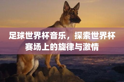 足球世界杯音乐，探索世界杯赛场上的旋律与激情吉安市靖泰电力工程有限公司