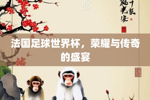 法国足球世界杯，荣耀与传奇的盛宴
