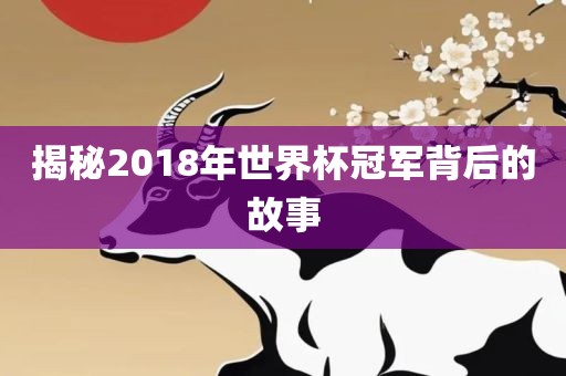 揭秘2018年世界杯冠军背后的故事