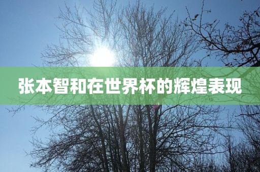 张本智和在世界杯的辉煌表现