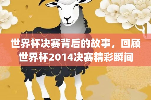 世界杯决赛 第4页