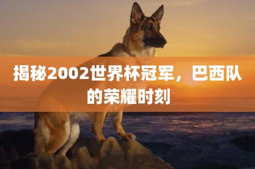揭秘2002世界杯冠军，巴西队的荣耀时刻吉安市靖泰电力工程有限公司