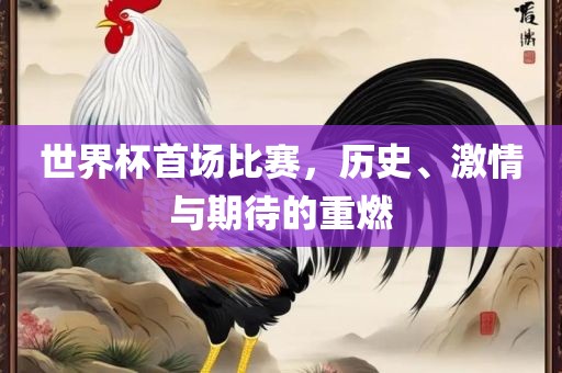 世界杯首场比赛，历史、激情与期待的重燃吉安市靖泰电力工程有限公司