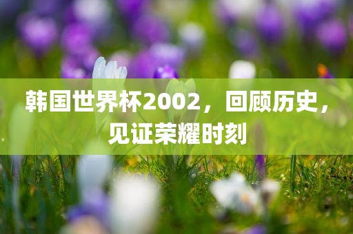 韩国世界杯2002，回顾历史，见证荣耀时刻吉安市靖泰电力工程有限公司