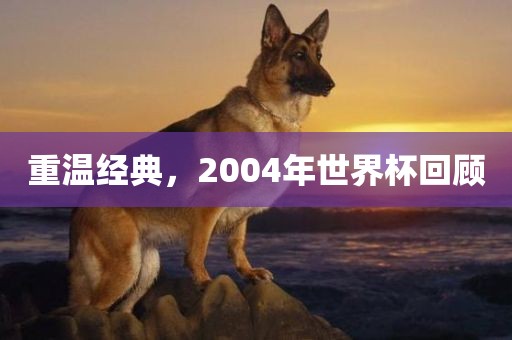 重温经典，2004年世界杯回顾