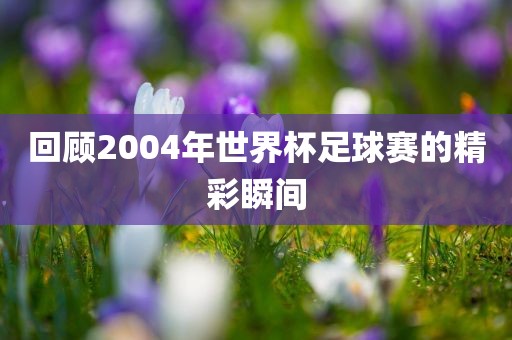 回顾2004年世界杯足球赛的精彩瞬间吉安市靖泰电力工程有限公司
