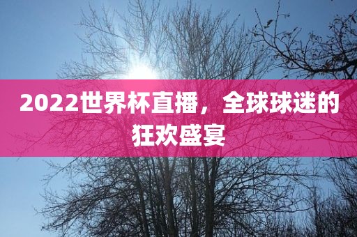 2022世界杯直播，全球球迷的狂欢盛宴吉安市靖泰电力工程有限公司
