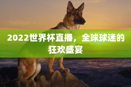 20吉安市靖泰电力工程有限公司22世界杯直播，全球球迷的狂欢盛宴