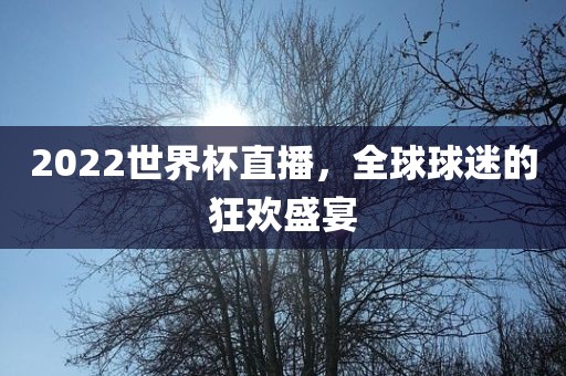 2022世界杯直播，全球球迷吉安市靖泰电力工程有限公司的狂欢盛宴