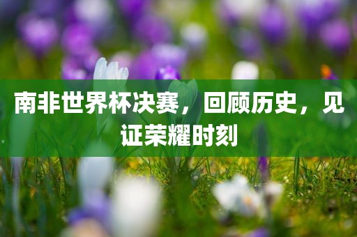 南非世界杯决赛，回顾历史，见证荣耀时刻
