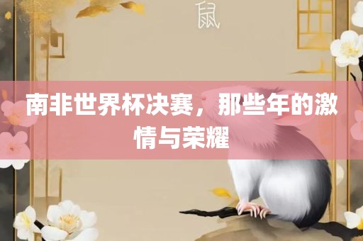 吉安市靖泰电力工程有限公司南非世界杯决赛，那些年的激情与荣耀