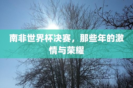 激情与荣耀 第4页