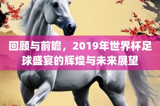 回顾与前瞻，2019年世界杯足球盛宴的辉煌与未来展望