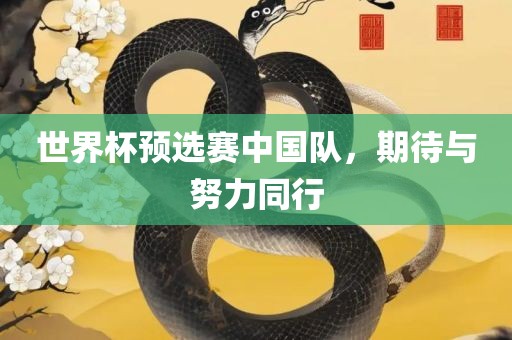 世界杯预选赛中国队，吉安市靖泰电力工程有限公司期待与努力同行