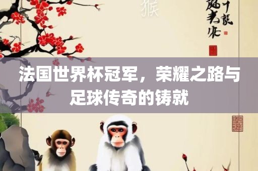 法国世界杯冠军，荣耀之路与足球传奇的铸就