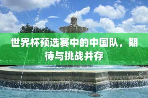 世界杯预选赛中的中国队，期待与挑战并存吉安市靖泰电力工程有限公司