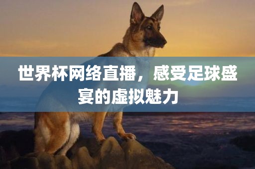 世界杯网络吉安市靖泰电力工程有限公司直播，感受足球盛宴的虚拟魅力
