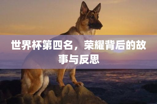 世界杯第四名，荣耀背后的故事与反思