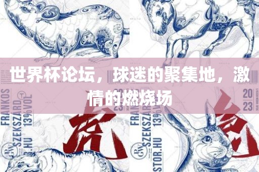 世界杯论坛，球迷的聚集地，激情的燃烧场