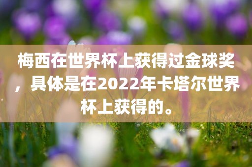 梅西在世界杯上获得过金球奖，具体是在2022年卡塔尔世界杯上获得的。