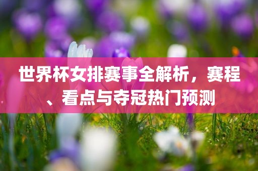 世界杯女排赛事全解析，赛程、看点与夺冠热门预测吉安市靖泰电力工程有限公司