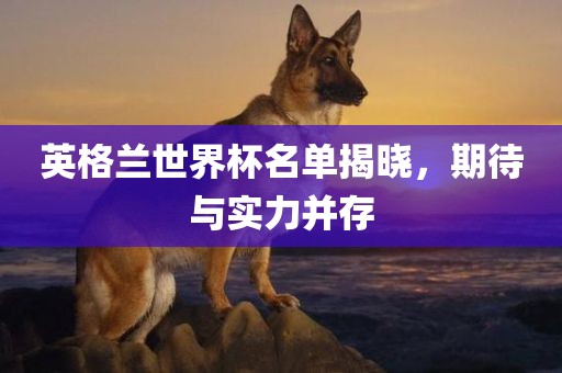 英格兰世界杯名单揭晓，期待与实力并存吉安市靖泰电力工程有限公司