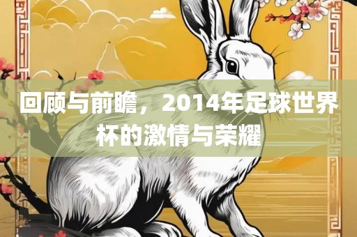 回顾与前瞻，2014年足球世界杯的激情与荣耀吉安市靖泰电力工程有限公司