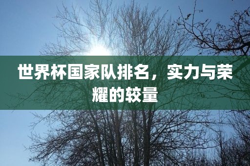 世界杯国家队排名，实力与荣耀的较量