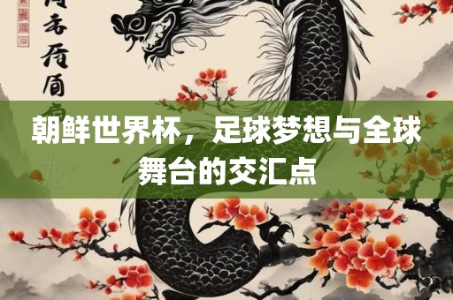 朝鲜世界杯，足球梦想与全球舞台的交汇点