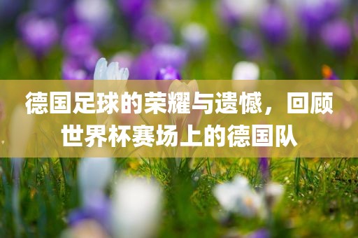 德国足球的荣耀与遗憾，回顾世界杯赛场上的德国队吉安市靖泰电力工程有限公司