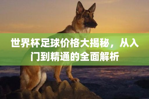 世界杯足球价格大揭秘，从入门到精通的全面解析