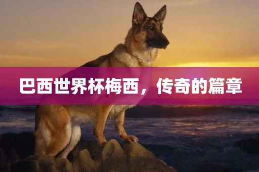 巴西世界杯梅西，传奇的篇章吉安市靖泰电力工程有限公司