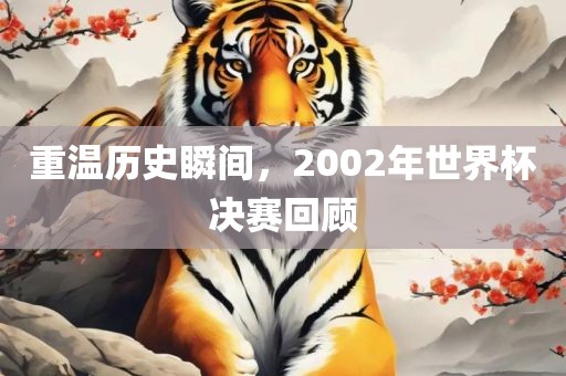 重温历史瞬间，2002年世界杯决赛回顾吉安市靖泰电力工程有限公司