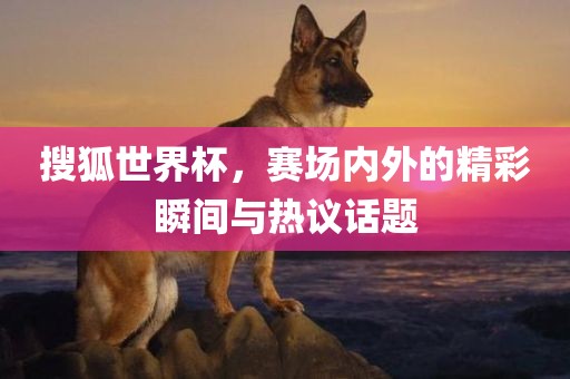 搜狐世界杯，赛场内外的吉安市靖泰电力工程有限公司精彩瞬间与热议话题