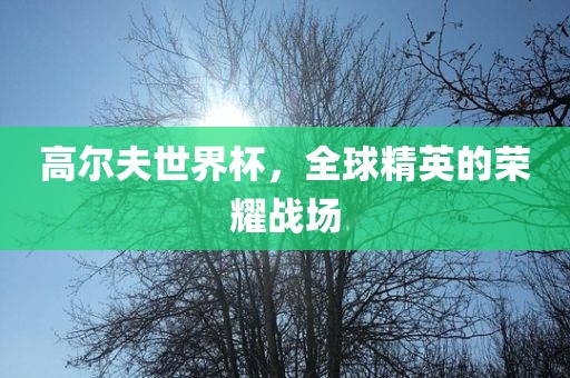 高尔夫世界杯，全球精英的荣耀战场吉安市靖泰电力工程有限公司