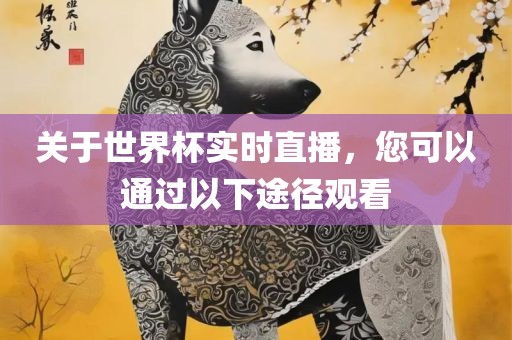 关于世界杯实时直播，您可以通过以下途径观看