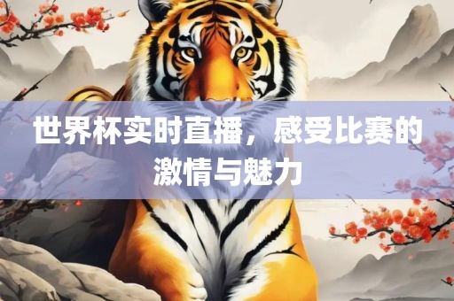 世界杯实时直播，感受比赛的激情与魅力