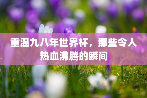 重温九八年世界杯，那些令人热血沸腾的瞬间吉安市靖泰电力工程有限公司