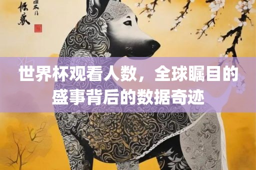 世界杯观看人数，全球瞩目的盛事背后的数据奇迹
