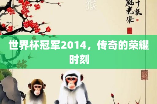 世界杯冠军2014，传奇的荣耀时刻吉安市靖泰电力工程有限公司