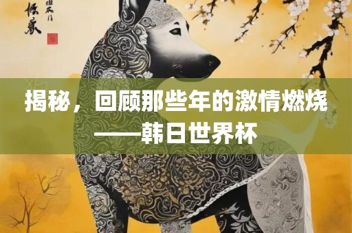 揭秘，回顾那些年的激情燃烧——韩日世界杯