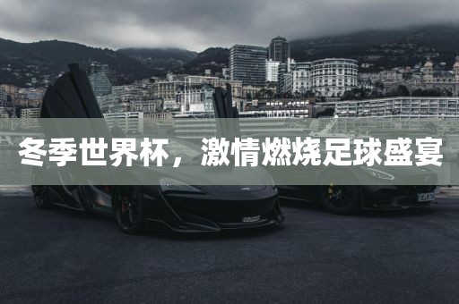 冬季世界杯，激情燃烧足球盛宴吉安市靖泰电力工程有限公司