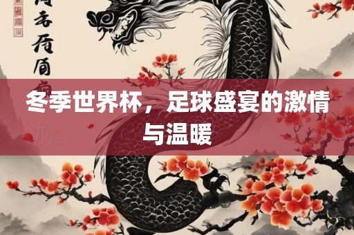 冬季世界杯，足球盛宴的激情与温暖