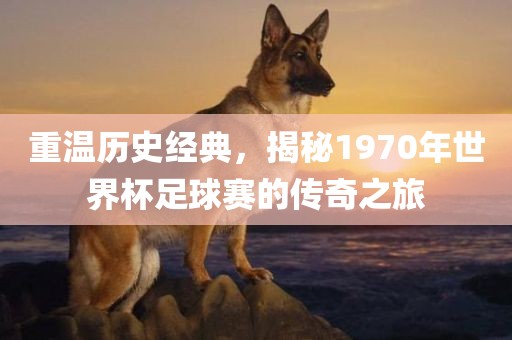 世界杯足球赛 第5页