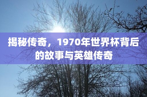 揭秘传奇，1970年世界杯背后的故事与英雄传奇